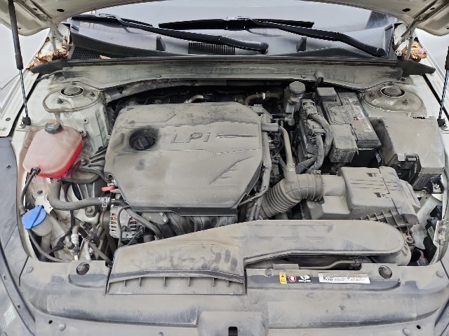 lotterental_132520528_YaSkM_8.jpg