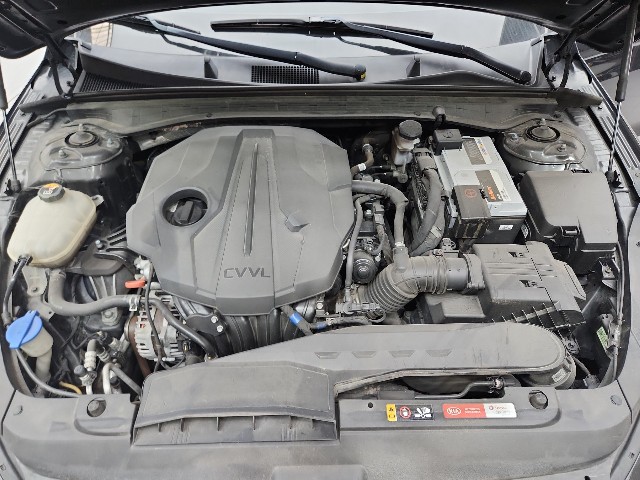 lotterental_130231366_98bWm_9.jpg