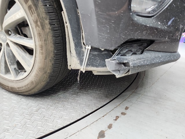 lotterental_130746327_olNXJ_9.jpg