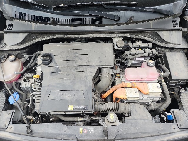 lotterental_132019457_CDBPy_2.jpg