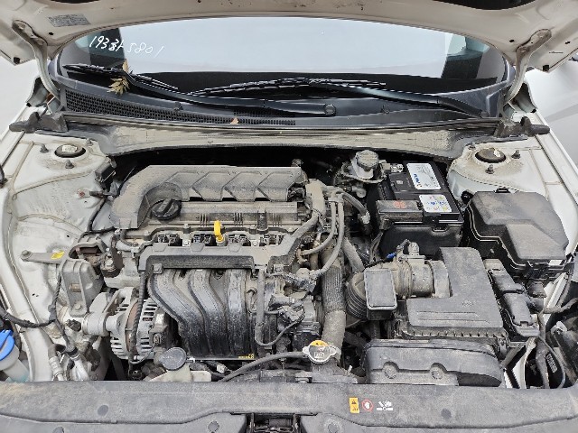 lotterental_175030102_MxV1F_7.jpg