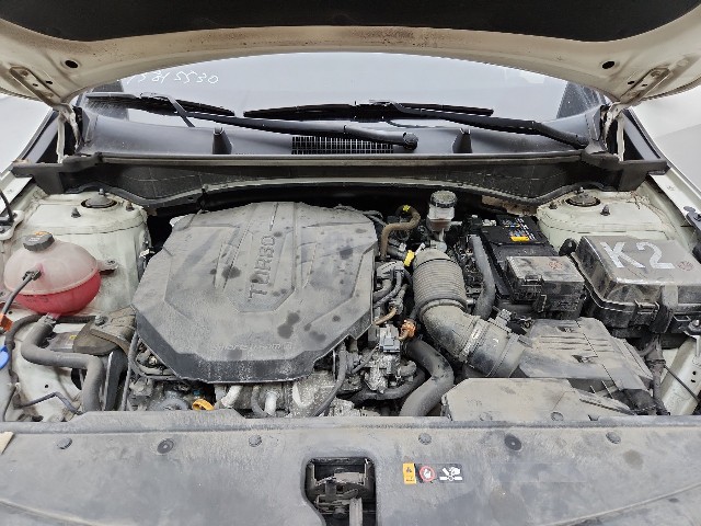 lotterental_17161684_YmmDQ_8.jpg