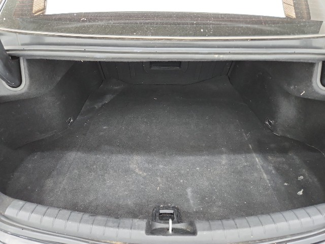 lotterental_113302229_w3HxZ_7.jpg