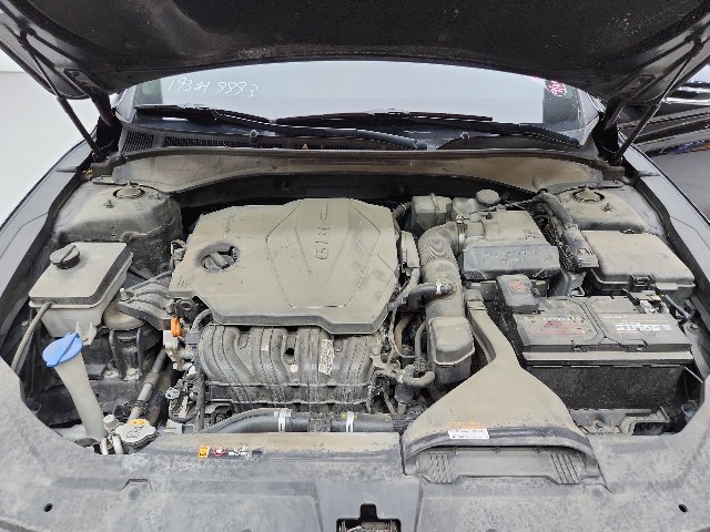 lotterental_113310646_r1Vnm_8.jpg