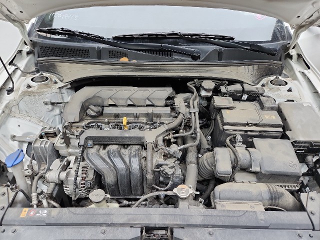 lotterental_112945377_nJYes_9.jpg