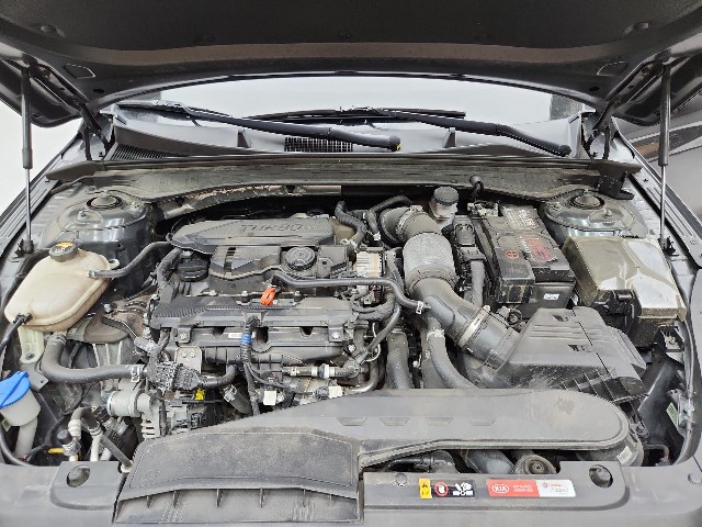 lotterental_112116516_Bxlqj_7.jpg