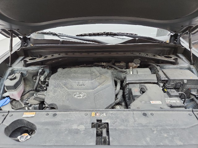 lotterental_11234284_TLlSm_6.jpg