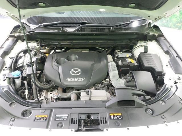 9474e74bd16aaed1c0612574dfc1fe7f.jpg