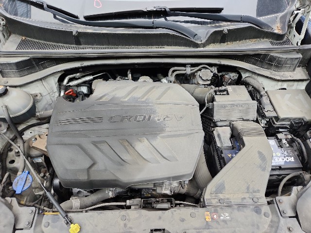lotterental_215526110_xXpNP_4.jpg