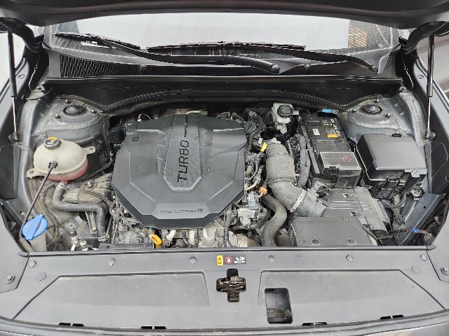 lotterental_135123872_Fuwii_10.jpg