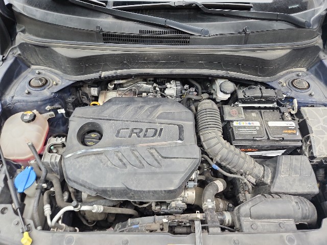 lotterental_152942348_gFuPn_4.jpg
