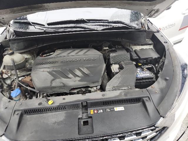 lotterental_150047476_x154u_10.jpg