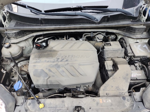 lotterental_145712370_qS524_3.jpg