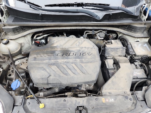 lotterental_143115570_uIRHo_4.jpg