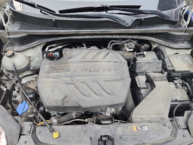 lotterental_222703505_WgarL_1.jpg