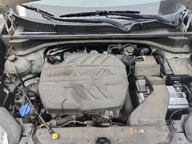 lotterental_10341131_zB2E6_9.jpg