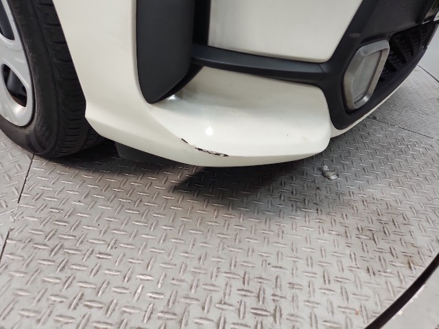 lotterental_101512528_aq9QP_1.jpg