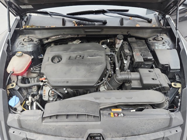 lotterental_104435867_NtnMz_1.jpg