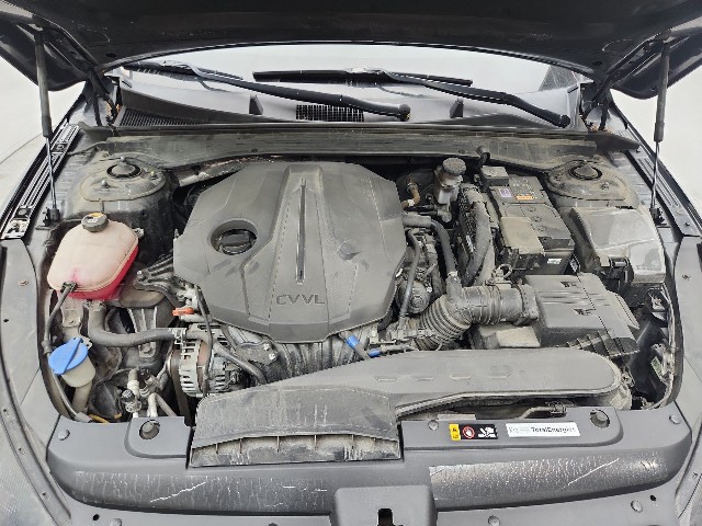 lotterental_143333890_GefwI_3.jpg