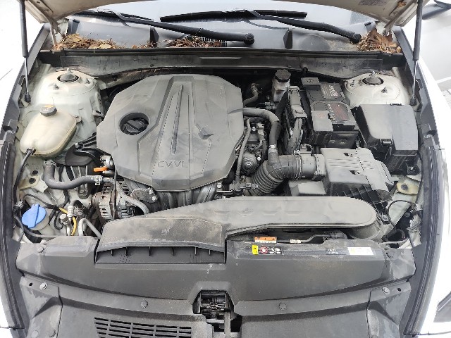 lotterental_152558870_D4hkW_1.jpg