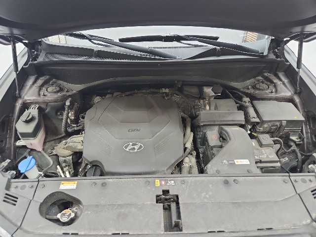 lotterental_202342799_xU0X2_6.jpg