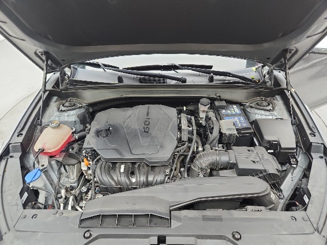 lotterental_164408182_CVkdi_1.jpg