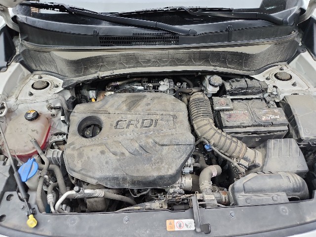 lotterental_155916162_YOqX7_2.jpg