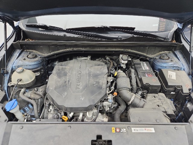 lotterental_135616883_f2v2M_2.jpg