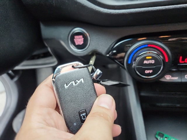lotterental_164754516_s8Hx9_9.jpg