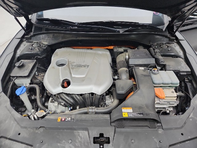 lotterental_15063133_qGbmQ_10.jpg