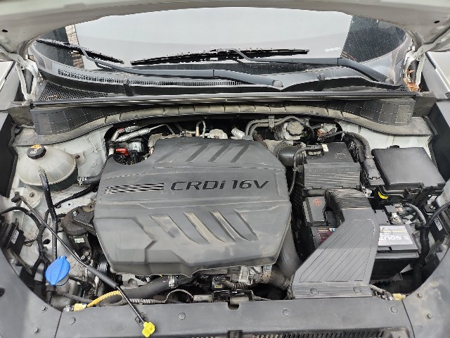 lotterental_141333381_O1dav_10.jpg