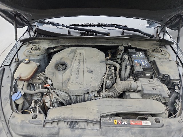lotterental_11111398_r59Sp_3.jpg
