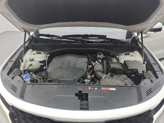 lotterental_133727757_PBC6Y_3.jpg
