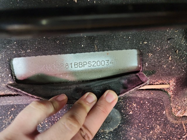 lotterental_161524437_PXp79_2.jpg
