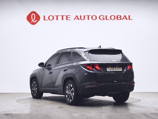 lotterental_141323634_0suSh_3.jpg