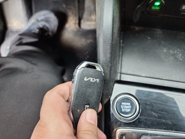 lotterental_164015411_TdAlz_9.jpg