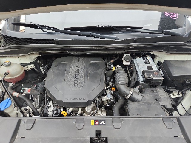 lotterental_164646601_eqoCX_10.jpg
