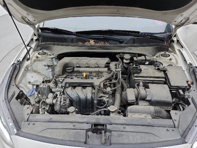 lotterental_154036572_4L3Qs_9.jpg