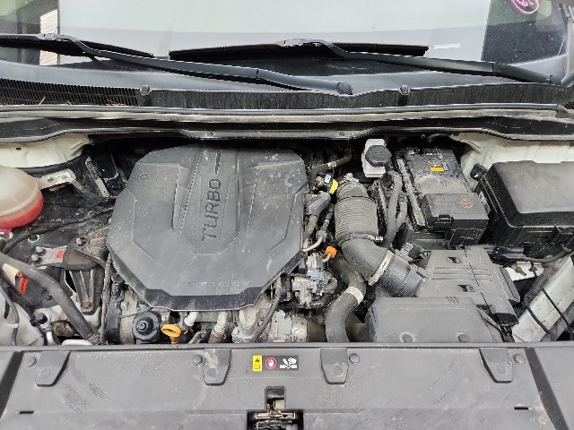 lotterental_13553816_l2NwS_7.jpg