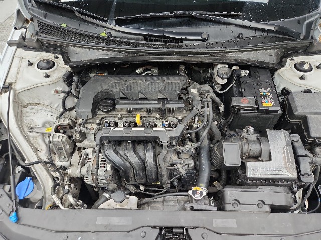lotterental_131809888_nxLat_2.jpg