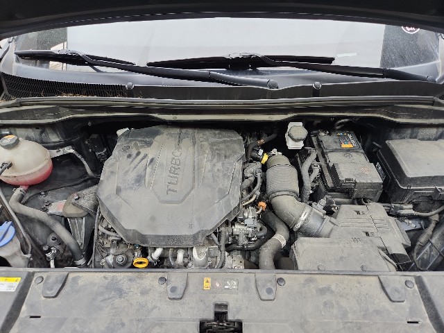 lotterental_221233432_m98IH_3.jpg