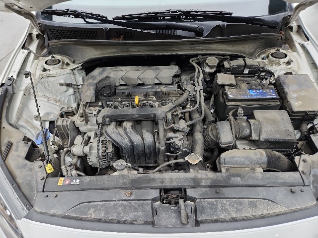 lotterental_164607327_LQd06_10.jpg