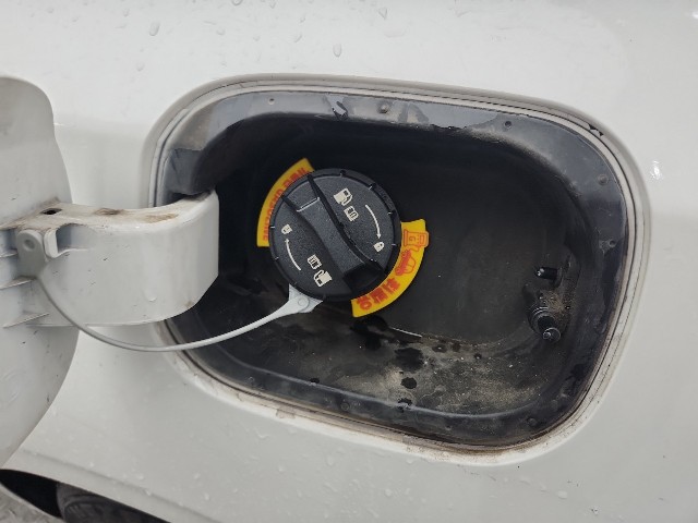lotterental_14292437_1k1hp_9.jpg