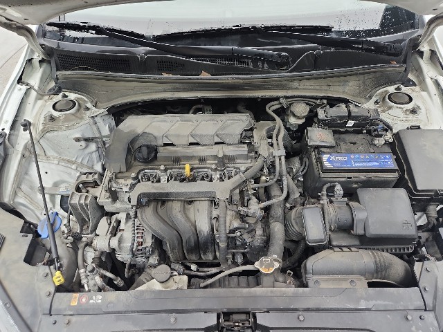 lotterental_142941248_TBoFn_2.jpg