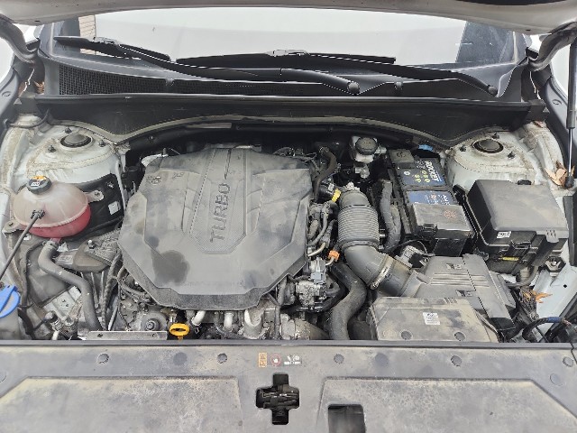 lotterental_134343402_yyS1i_1.jpg