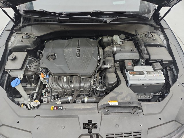 lotterental_213121613_WPLmI_5.jpg