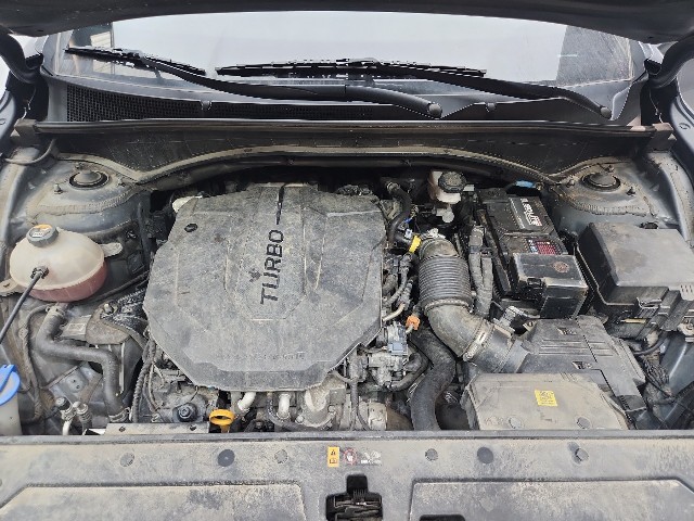 lotterental_215711510_8JPJf_3.jpg