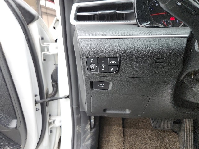 lotterental_150558873_YDeXs_8.jpg
