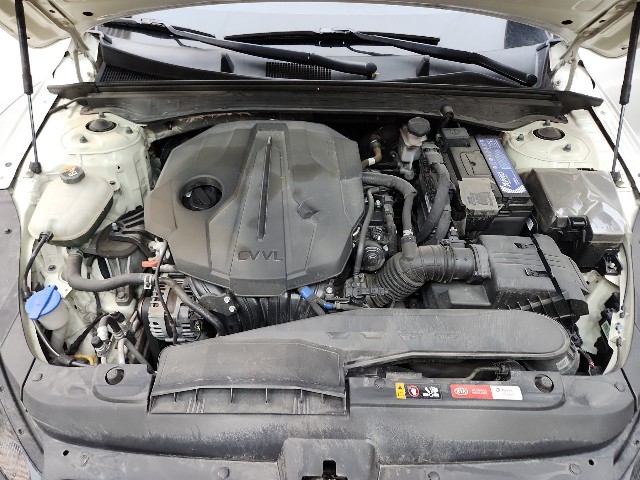 lotterental_150741421_bMh45_6.jpg