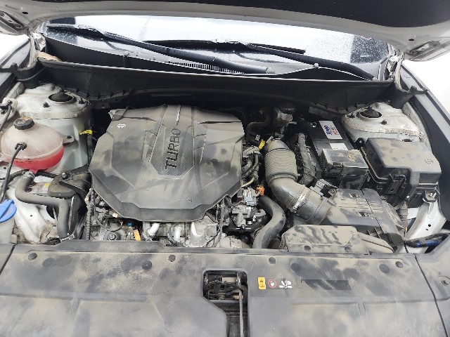 lotterental_13555233_2Idy3_10.jpg